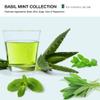 MOP Basil Mint Firm Hold Clay, 2 Oz., Long Lasting Hold, Definition, Textured Matte Finish For All Hair Types view 4
