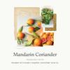 Thymes Hand Wash - 15 Fl Oz - Mandarin Coriander view 3