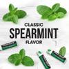 ChapStick Classic Spearmint Lip Balm Tubes, Spearmint ChapStick for Lip Care, Father's Day Gift - 0.15 Oz x 12 view 3