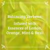 Pharmacopia Verbena Body Lotion - Hydrating Natural Moisturizer with Aromatherapy Benefits - Cruelty-Free Vegan Skin Care - Shea Butter, Aloe Vera, and Jojoba Oil - Lotion for Dry Skin, 16 oz view 4