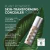 Fitglow Beauty Conceal+ | Vegan Full Coverage Concealer Skincare with Vitamin K + Green Tea | Corrects Dark Circles, Blemishes & Redness | Non-Creasing, Natural Finish | C4-6g view 2