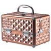 Beauty Cosmetic Makeup Case Organizer With Mirror & Extendable Trays Rose Gold view 1
