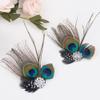 Comidox Hair Clip, Cute Peacock Feather with Rhinestones, Charming Peacock Headpiece Feather Hair Accessories for Women, Weddings, Parties, Halloween, Set of 2 view 4