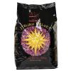 Waxness Italian Velvet Full Body Hard Wax 2.2 Pound / 1 kg Pack of 2 view 2