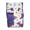 Waxness Premium Hard Wax Plum 2.2 lb - Pack of 2 view 3