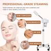 Nova Microdermabrasion Professional Facial Steamer On Wheels Ionic Ozone with Hot Mist Function Stand Facial Steamer for Personal Home Salon Spa Skin Cleaning view 4