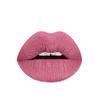 Aromi Dusty Rose Matte Liquid Lipstick | Universally Flattering Pink Lip Color, Vegan + Cruelty-free, Long-Lasting Makeup, All Day Night Lipstick (Rosy Rose) view 1
