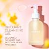 FEMMUE Cleansing Gel Face Wash (4.2 oz) | Hydrating Daily Facial Gel Cleanser & Makeup Remover with Blueberry Extracts | Korean Skincare view 2