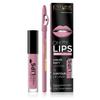 Eveline Cosmetics Lip Color Set - Matt Lipstick & Contour Lip Liner (Oh! my LIPS, 06 Cashmere Rose, Long-lasting, Hydrating, Full Coverage) view 2