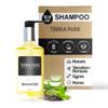 Terra Pure Green Tea Shampoo 10.14oz Pump | Clean Honey and Aloe Vera Formula for Hotels, Resorts and Vacation Rentals | Premium Moisturizing Bath Wash for Guest Amenities and Hospitality Toiletries view 1