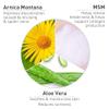 PROcure Arnica & MSM Bruise Remedy Gel  Unscented, Paraben-Free Arnica Montana Gel with TriSoothe Complex for Bruising & Spider Veins, 2 Pack view 3
