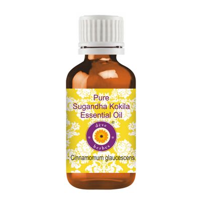 Deve Herbes Pure Sugandha Kokila Essential Oil (Cinnamomum glaucescens) Steam Distilled 5ml (0.16 oz)