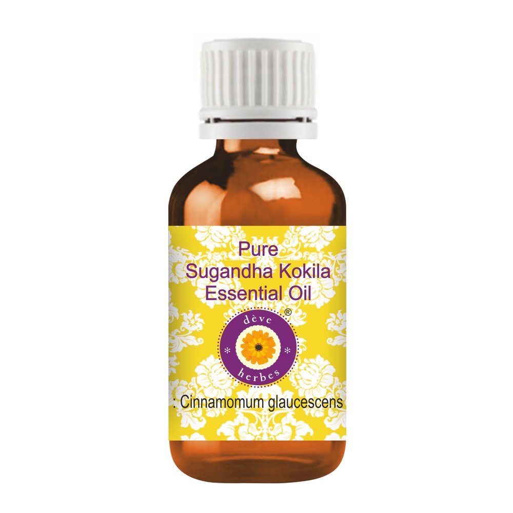 dve herbes Pure Sugandha Kokila Essential Oil (Cinnamomum glaucescens) 100% Natural Therapeutic Grade Steam Distilled 10ml (0.33 oz)