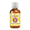 dve herbes Pure Sugandha Kokila Essential Oil (Cinnamomum glaucescens) 100% Natural Therapeutic Grade Steam Distilled 10ml (0.33 oz) view 1