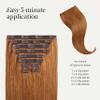 Luxy Hair 20" Natural Red Classic Clip-In Hair Extensions (160 grams) 100% Remy Human Hair, Natural,Volume, 10-Piece Set, Blends Easily view 3
