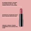 ARTDECO Perfect Color Lipstick - Perfect Rosewood - Glide-On Lipstick - Rich Color & Plumping Effect - Creamy, Pearly Finish - Hyaluronic Acid - Long Lasting - Lip Plumper - Makeup - 0.14 Oz view 3