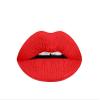 Aromi Bright Red Matte Liquid Lipstick | Red Hot Lip Color, Vegan, Cruelty-free, Long-lasting Lipstick, Waterproof, Handmade (Preppy Red) view 1