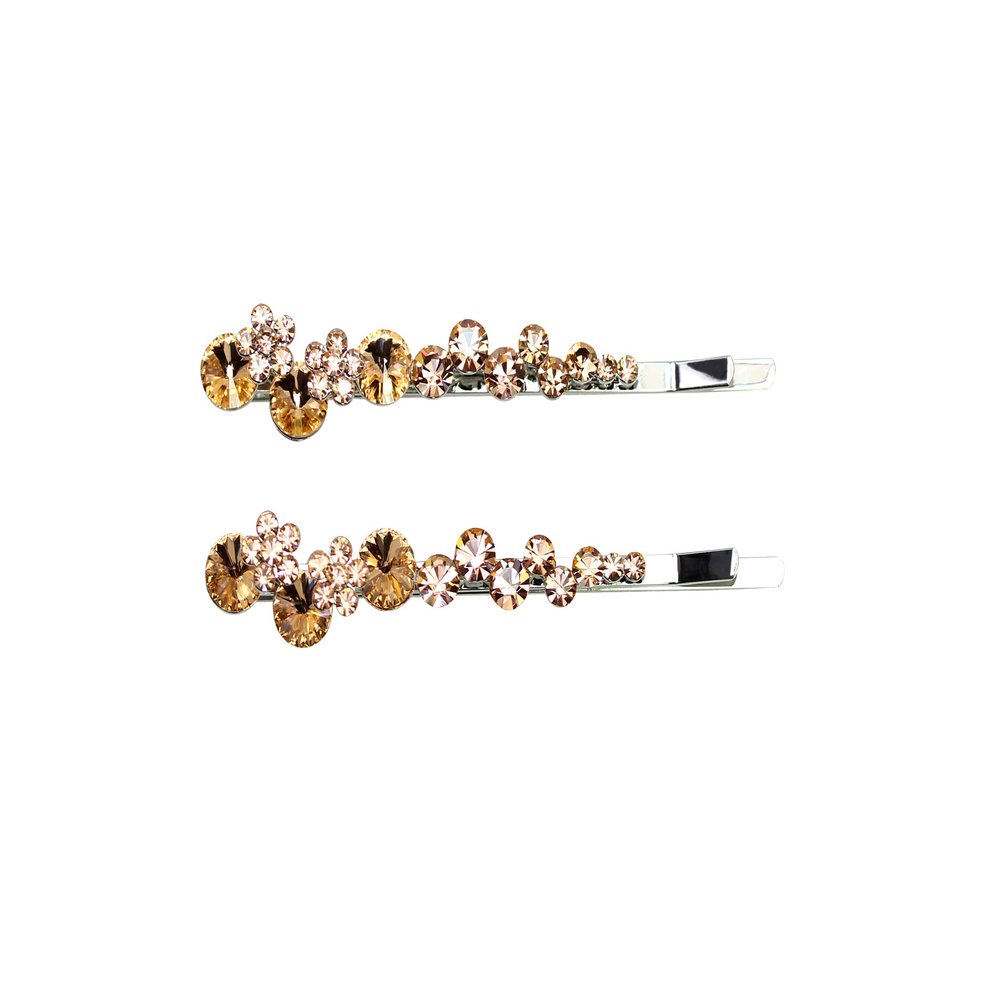 Faship A Pair Of Champagne Premium Rhinestone Crystal Floral Hair Clips Pins 2 Pcs