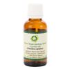 R V Essential Pure Watermelon Seed Carrier Oil 5ml (0.169oz)- Citrullus Lanatus (100% Pure and Natural Cold Pressed) view 1
