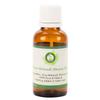 R V Essential Pure Mehendi (Henna) Oil 100ml (3.38oz)- (100% Pure and Natural) view 1