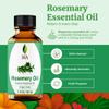 SVA Rosemary Essential Oil  1 Fl Oz  100% Natural Rosemary Oil for Hair, Face, Skin Care, Diffuser, Aromatherapy, Scalp, Body Massage, Soap and Candle Making  with Dropper view 2