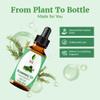 SVA Rosemary Essential Oil  1 Fl Oz  100% Natural Rosemary Oil for Hair, Face, Skin Care, Diffuser, Aromatherapy, Scalp, Body Massage, Soap and Candle Making  with Dropper view 4