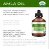 velona Amla Oil USDA Certified Organic - 4 Fl Oz | 100% Pure and Natural Carrier Oil | Extra Virgin, Unrefined, Cold Pressed view 2