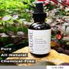 Coconut Oil for Hair & Body - Light-weight, Daily Moisturizer for Dry Hair & Skin - Natural Almond Oil, Jojoba Oil & Essential Oils for hair care & skincare - Pure Coconut Body Oil - GALORE Naturals view 4