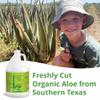 Seven Minerals Organic Aloe Vera Gel from freshly cut 100% Pure Aloe - 1 Gallon - HighestQuality, Texas grown, Vegan, Unscented - For Face, Skin, Hair, Sunburn Relief - Bulk DIY (128 Fl Oz) view 2