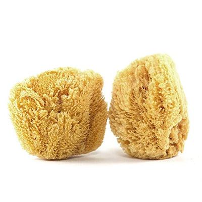 2 x Natural Sea Sponge 12 cm - Maison du Savon de Marseille