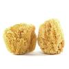 2 x Natural Sea Sponge 12 cm - Maison du Savon de Marseille view 1