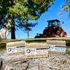 O My! Goat Milk Pumice Soap 6oz | Made with Farm-Fresh Goat Milk | Free of Parabens & More | Handcrafted USA view 2