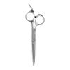Fromm Professional Explore 5.75" Hair Cutting Shears for Wet and Dry Hair, Polished Silver Japanese Steel Scissors with Beveled Blade view 1