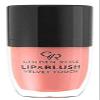 Golden Rose GR LIP&BLUSH VELVET TOUCH NO:02 view 1