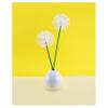 Q-tips Cotton Swabs For Hygiene and Beauty Care Original Cotton Swab Made With 100% Cotton 375 Count view 3