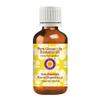 dve herbes Ginger Lily Essential Oil (Hedychium spicatum) Pure | Non-Sticky | Non-Greasy | Lightweight | Men & Women | All Skin Types | Steam Distilled 50ml (1.69 oz) view 1
