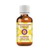 Deve Herbes Pure Frankincense Essential Oil (Alpha Thujene 70%) Boswellia serrata 100% Natural Therapeutic Grade Steam Distilled 50ml (1.69 oz) view 1