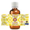 Deve Herbes Pure Frankincense Essential Oil (Alpha Thujene 70%) Boswellia serrata 100% Natural Therapeutic Grade Steam Distilled 50ml (1.69 oz) view 2
