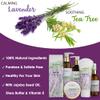 Aqua Elegante Spa Gift Basket - Luxury Bath Set with Body Wash, Bubble Bath, Lotion, Salts, Scrub, Spray, Shower Puff, Towel, Gifts for Women, Mom, Wife, Her - Lavender & Tea Tree Oil view 4