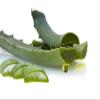 bodi : Aloe Vera Gel - 100% Pure Natural Chemical Free - Used Internal & External (8 16 32 oz) (32 oz) view 2