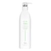 ALOXXI Reparative Hair Repair Shampoo for Damaged Hair with ColourCare Complex and Advanced Recovery Technology Cleanses Over-Processed Hair, 10.1 Fl Oz view 1