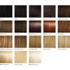 23" Long Wave Pony (wrap-around) by Hairdo R1 Black view 4