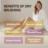 Ithyes Body Brush Dry Brushing Bath Brush Gentle Skin Exfoliate Massage Scrub 100% Nature Boar Bristles Bamboo Wood Improve Blood Circulation Wet & Dry Smooth Fresh Treatment,with Canvas Bag view 4