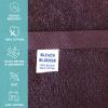 Arkwright Bleach Proof Salon Towels - Pack of 12 - Highly Absorbent, 100% Cotton, Quick Dry Spa Face Towel for Hair Stylist, Barber, Pedicure, and Esthetician, 16 x 27 in, Eggplant view 2