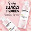Pantene Sulfate Free Shampoo and Conditioner Set, Rose Water, Soothing and Moisturizing, Infused with Vitamin B5, for all Hair Types, Safe for Color Treated Hair, Pro-V Blend, 17.9 Fl Oz Each, 2 Pack view 2