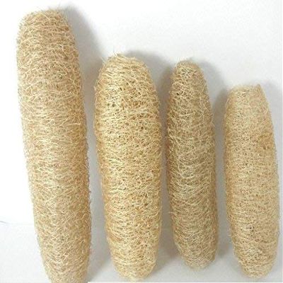 Threesome Ridge Ground Fiber Natural Loofah, 4 Pieces Family Pack