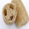 Threesome Ridge Ground Fiber Natural Loofah, 4 Pieces Family Pack view 4
