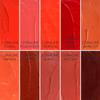 Sin Richards London Coraline Lipwear Coral 10 Colours Professional Lipstick Palette view 2