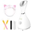 Portable Facial Steamer Nano Face Steamer Warm Mist Home Skin Spa Steamers for Sinuses Acne Pores Cleanse Blackhead Remover Kit Mask Brush view 1