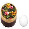 Tanaka Powder 0.49 Oz and Soft Konjac Sponge Natural 100% Scrub for Face view 1